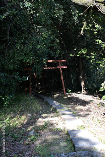 稲荷神社に続く鳥居の景色