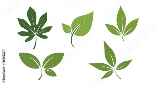 Collection of five different green leaf icons, showcasing various simple and stylized shapes for nature and eco-friendly concepts.