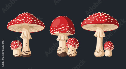 A collection of detailed illustrations of red and white amanita muscaria mushrooms in different arrangements on a dark background.