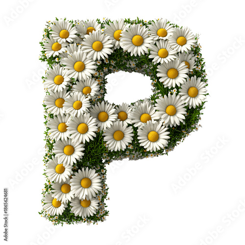 Top view of 3D letter P made of daisy flowers isolated on white background