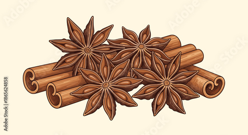 A vintage-style illustration of aromatic spices, featuring whole cinnamon sticks bundled together with several stars of anise.