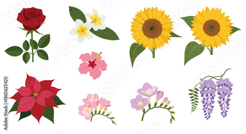 Wallpaper Mural A collection of eight illustrated flowers including a rose, sunflower, hibiscus, poinsettia, wisteria, and plumeria. Torontodigital.ca