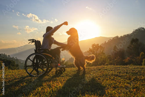 Silhouette of young girl in a wheelchair playing with her golden dog together on mountain sunset , a touching scene of companionship, loyalty, and hope