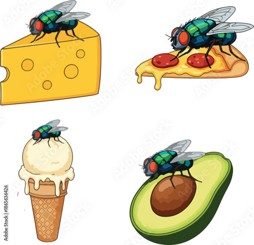 Fly silhouette illustration