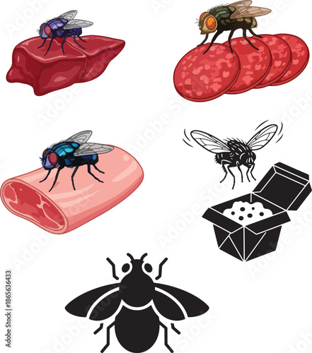 Fly silhouette illustration