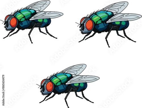 Fly silhouette illustration