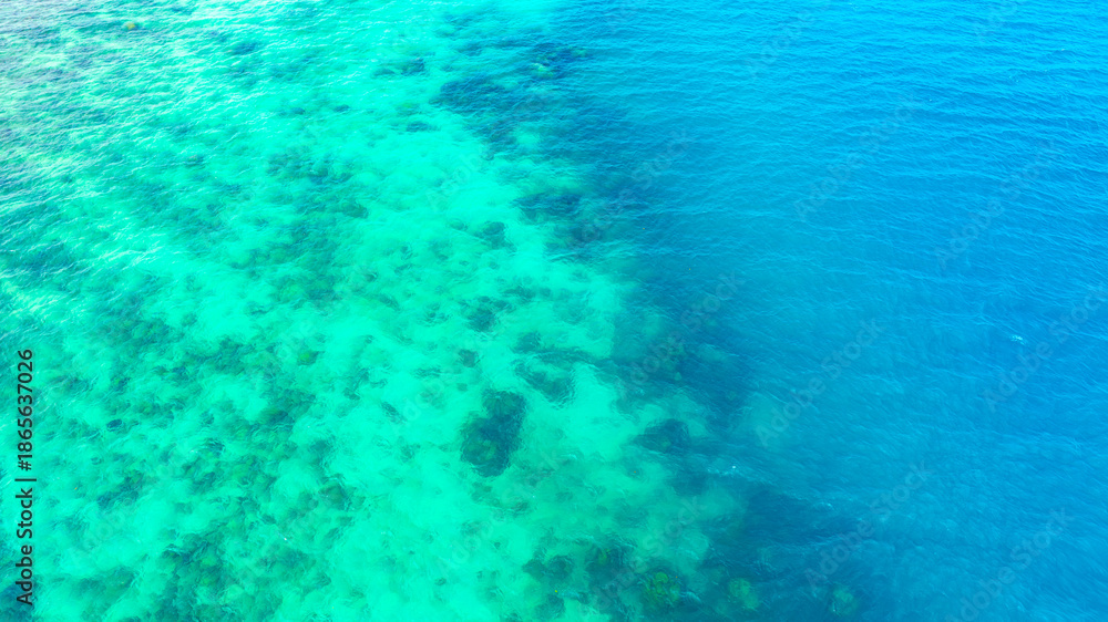 Fototapeta premium Aerial bird's eye view of tropical coastline with turquoise sea and coconut palm plantation.crystal clear ocean water and coral reefs on tropical island exotic beach with emerald sea water