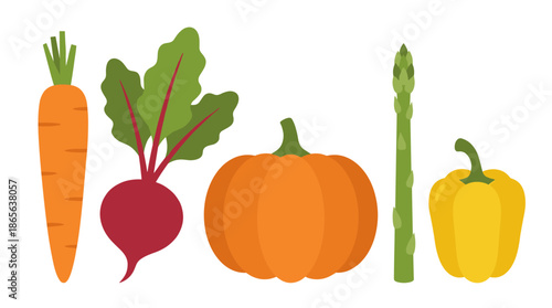Vegetables Lineup Illustration.