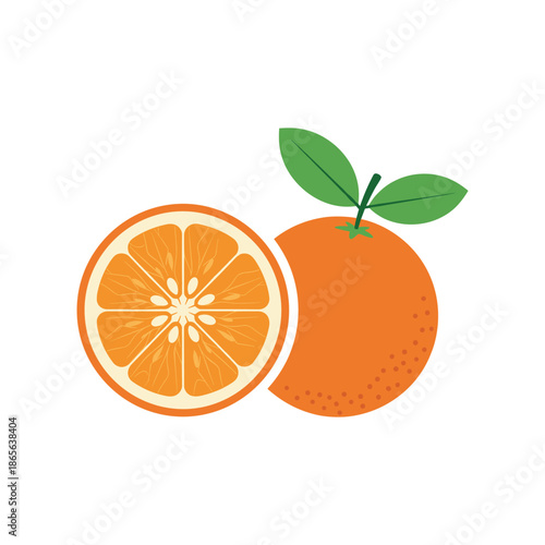 Fresh orange sliced open isolated on white background, Vector, illustration