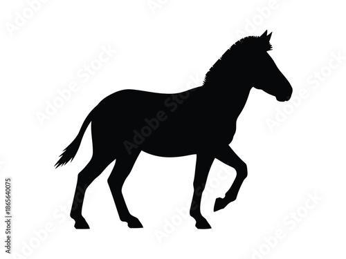 Vector silhouette of black silhouette of a horse running