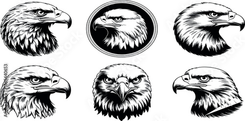 set of cartoon birds