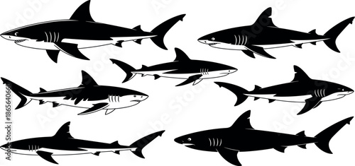 set of sharks