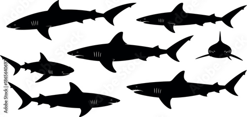 set of sharks