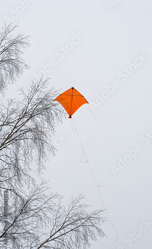 Paisaje invernal con montañas nevadas y bandera naranja vibrante