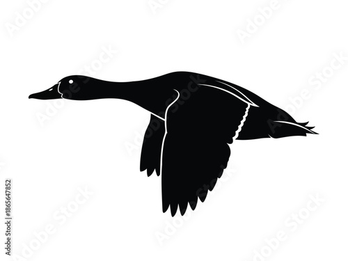Black silhouette of a flying duck on a in a dynamic pose