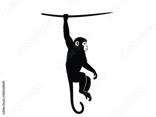 A black silhouette of a monkey hanging from a branch