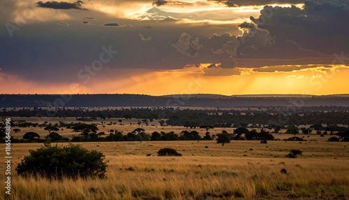 Dramatic sunset over African savanna with dramatic clouds.