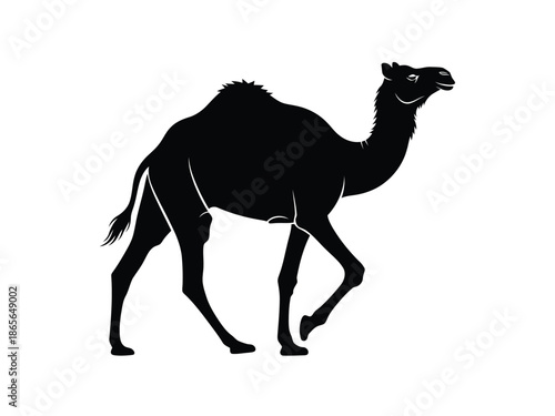 Black camel walking to the right