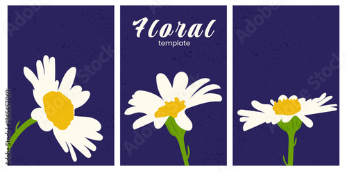Daisies. A set of minimalist vintage postcards featuring hand-drawn daisies. Modern, minimalist retro illustration.