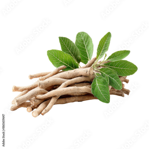 Ashwagandha roots and green leaves isolated on black background plant herb, Png Isolated On White, Transparent Background