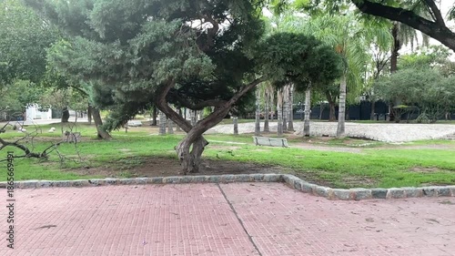 cordoba park travel amateur shot