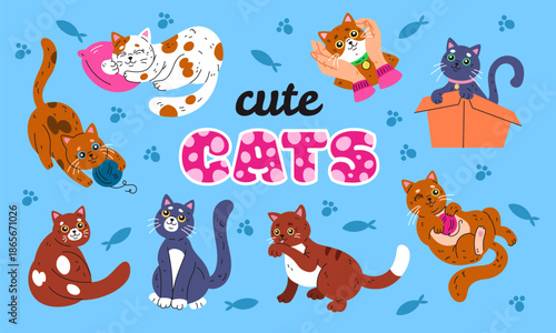 Cute cat. Pets paw. Icon animal. Sticker kitten baby. Sitting in box, actives pose, playful kitty with yarn. Breed meows adorable. Cats day banner. Vector tidy cartoon flat style isolated illustration