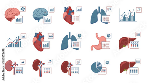 Medical Icons Representing Human Organs and Health Data Analysis
