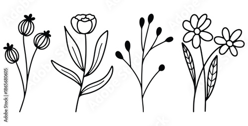 Set of four simple black and white botanical line art illustrations featuring various delicate wildflower elements like poppies buds daisies and stylized floral sprigs for design use