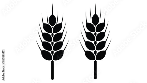a pair of black wheat ears on white background