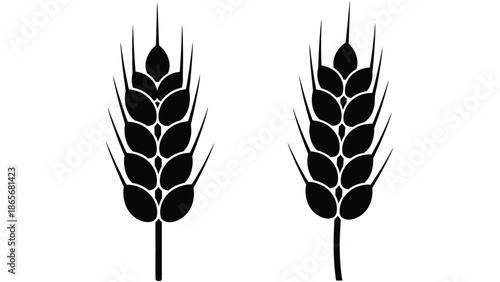 a black and white illustration of two wheat stalks