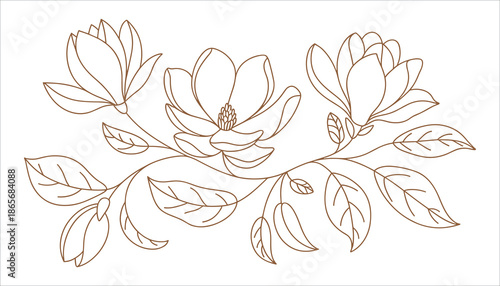 Brown line of magnolia flowers and leaves on white background line magnolia