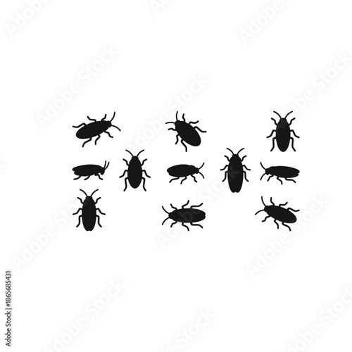 Collection of various beetle silhouettes on white background.