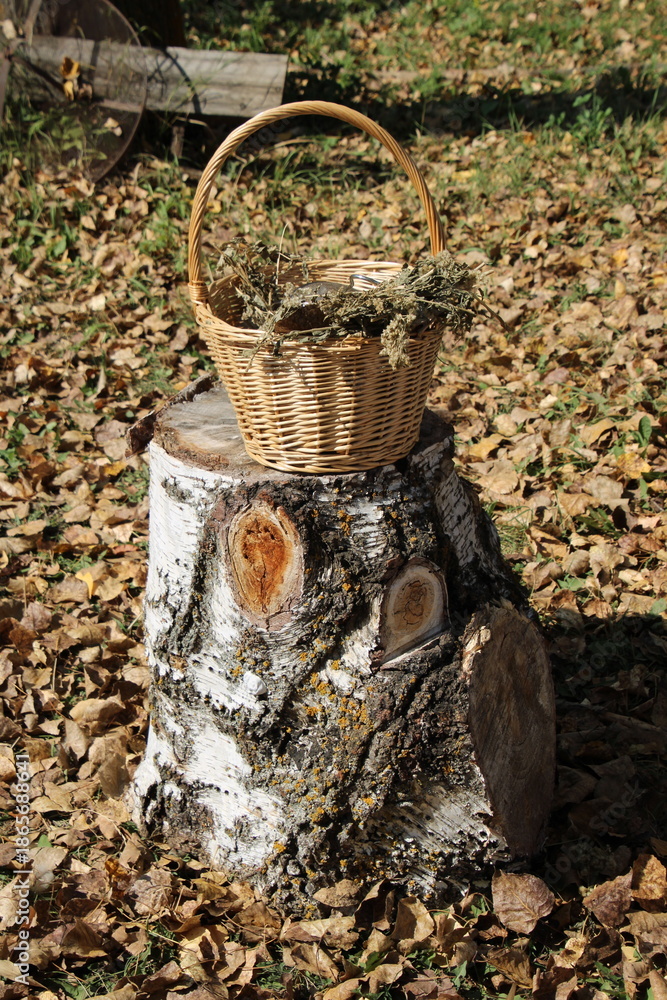 Obraz premium autumn leaves in a basket