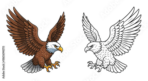Bald Eagle Soaring in Flight Vibrant Color and Detailed Grey Line Art Side by Side Set