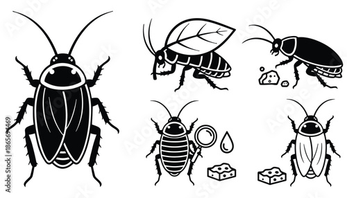 A black and white illustration of various cockroach poses and behaviors