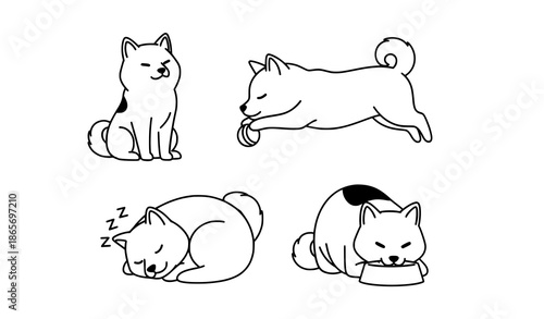 Minimal cute Shiba Inu dog character vector set in different poses on white