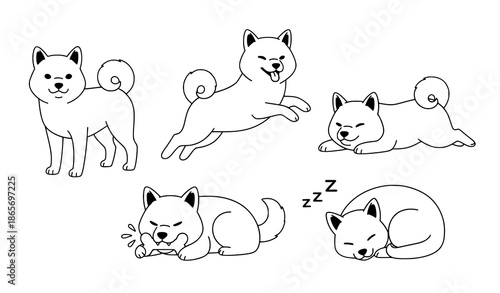 Shiba Inu cartoon dog poses vector set cute Japanese pet illustration