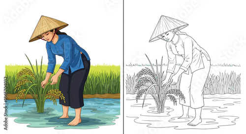 Asian Farmer Tending Rice Paddy Field in Color and Detailed Black White Line Art Sketch
