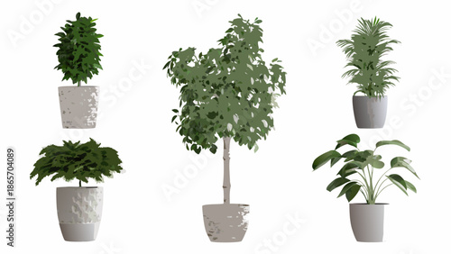 A collection of potted indoor plants with various leaf shapes and sizes