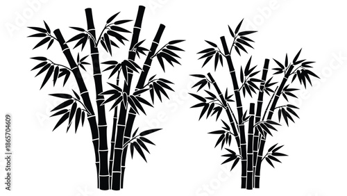 Elegant black and white illustration of bamboo stalks and leaves in a minimalistic style for nature or environmental design Silhouette vector on whit Background