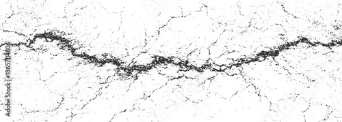 Black crack texture on white background abstract pattern