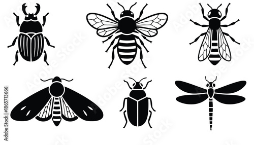 A collection of insect silhouettes on a white background silhouette