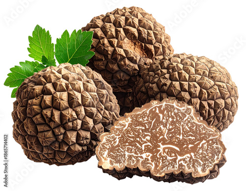 Exquisite black truffles with vibrant green leaves, one sliced to reveal marbled interior on white