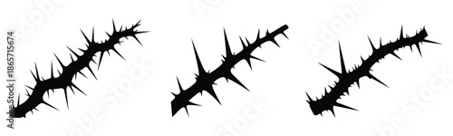 Sharp thorny vine silhouettes with spiky organic forms. Perfect for gothic, horror, fantasy, tattoo, and dark nature designs.