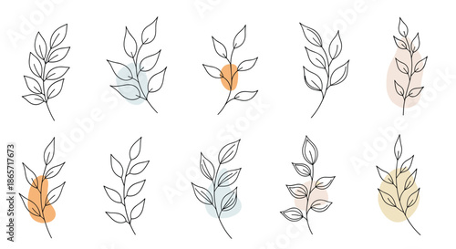 Delicate hand drawn leafy branches with soft abstract color blobs for modern botanical illustrations and elegant branding elements.