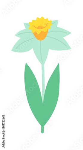 Narcissus isolated on a white background. Colored icon, vector illustration in a flat style. Spring flower.