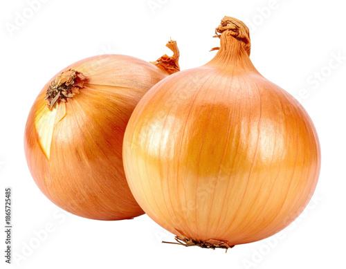 Wallpaper Mural Two Fresh Brown Onions Isolated on a Transparent Background Ready for Culinary Use Torontodigital.ca