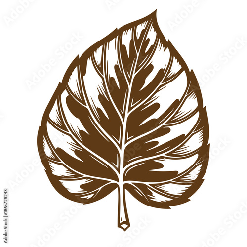 Vintage Brown leaf illustration with detailed veins on white background  leaf shape and texture