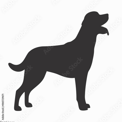 Black dog silhouette in a standing pose head turned to the side