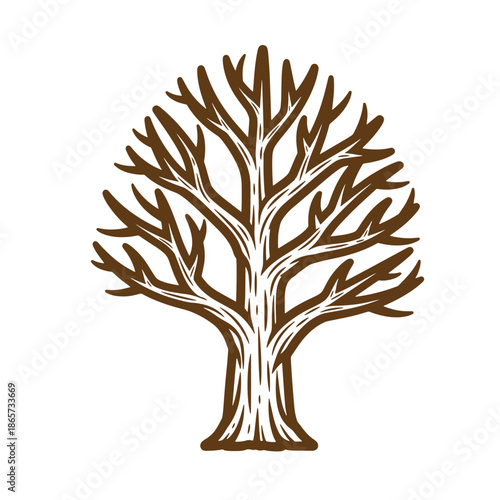 Vintage brown tree with many branches isolated on transparent background